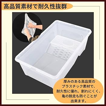 応挙　亀と人物図　箱なし　MA916 Amazon.co.jp: リアル リクガメ カメ 亀 貯金箱 オブジェ 置物